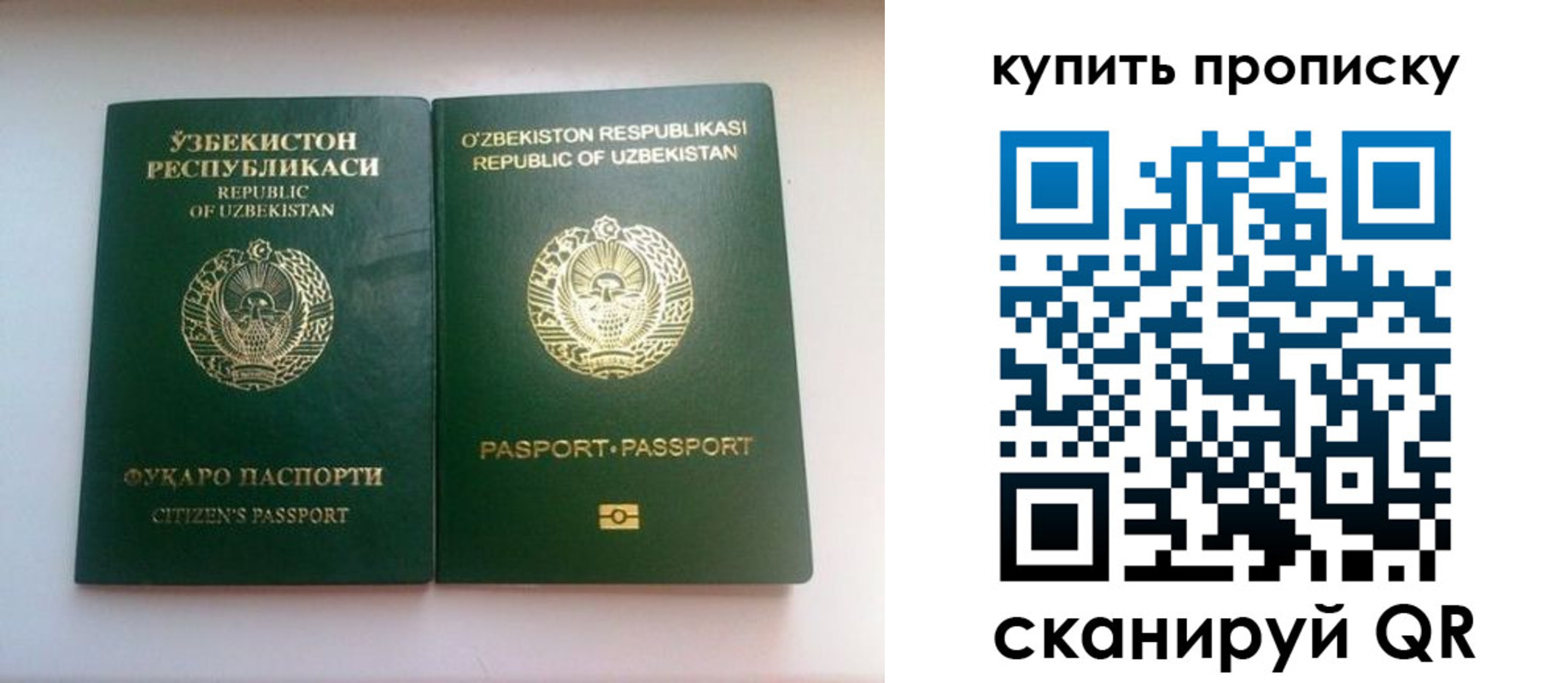 временная прописка в Полярном